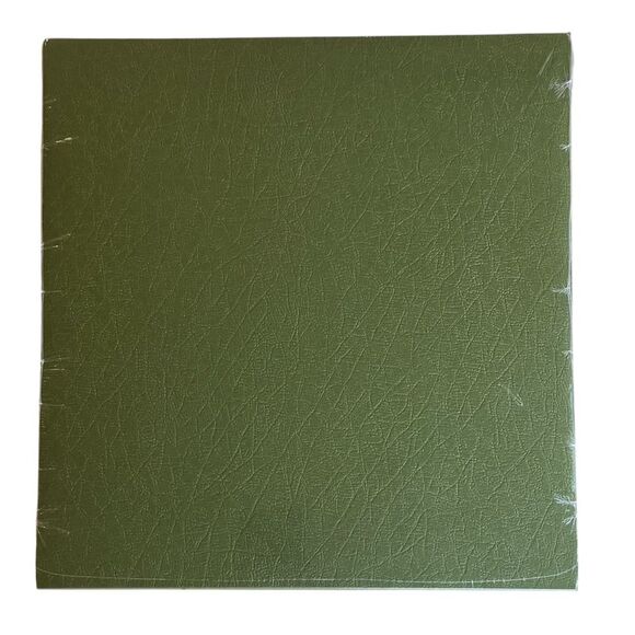 JUNIPER GREEN Creative Memories Textured Cardstock Paper 12 x 12 NEW NWT - Picture 1 of 2